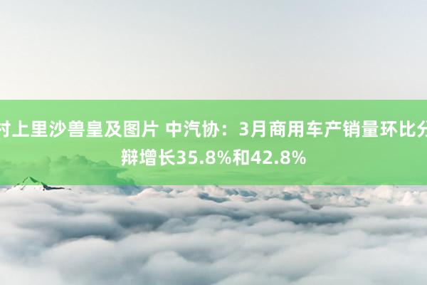 村上里沙兽皇及图片 中汽协：3月商用车产销量环比分辩增长35.8%和42.8%