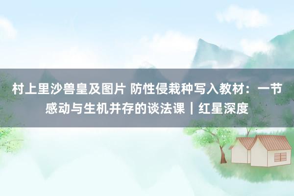 村上里沙兽皇及图片 防性侵栽种写入教材：一节感动与生机并存的谈法课｜红星深度