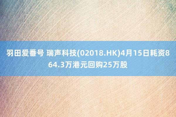 羽田爱番号 瑞声科技(02018.HK)4月15日耗资864.3万港元回购25万股