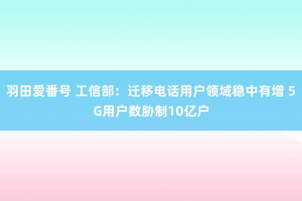 羽田爱番号 工信部：迁移电话用户领域稳中有增 5G用户数胁制10亿户