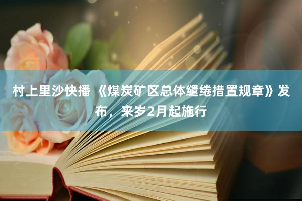 村上里沙快播 《煤炭矿区总体缱绻措置规章》发布，来岁2月起施行