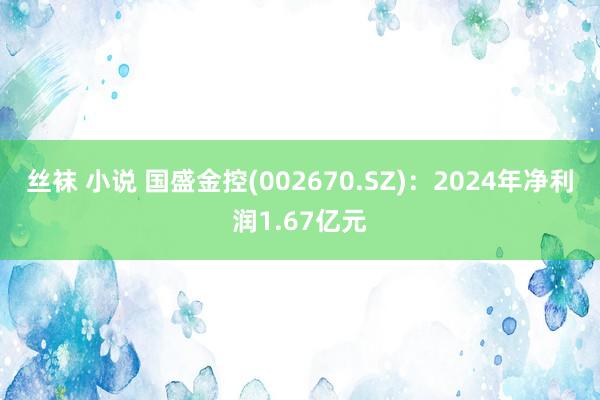 丝袜 小说 国盛金控(002670.SZ)：2024年净利润1.67亿元