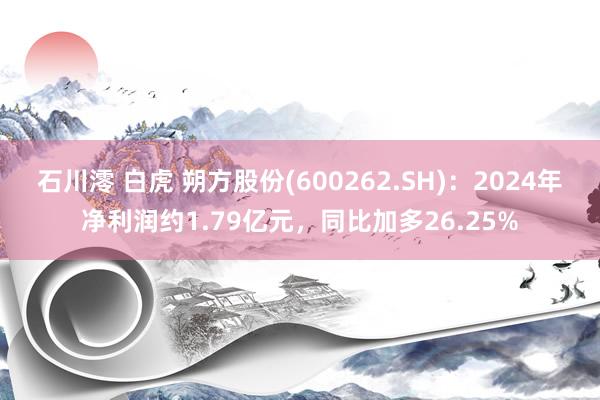 石川澪 白虎 朔方股份(600262.SH)：2024年净利润约1.79亿元，同比加多26.25%