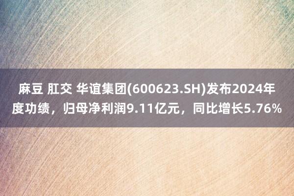 麻豆 肛交 华谊集团(600623.SH)发布2024年度功绩，归母净利润9.11亿元，同比增长5.76%