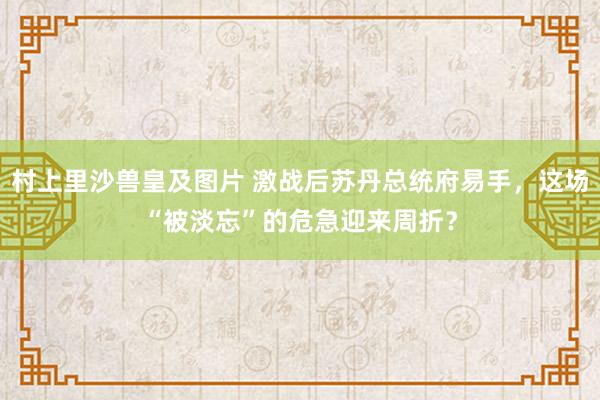 村上里沙兽皇及图片 激战后苏丹总统府易手，这场“被淡忘”的危急迎来周折？