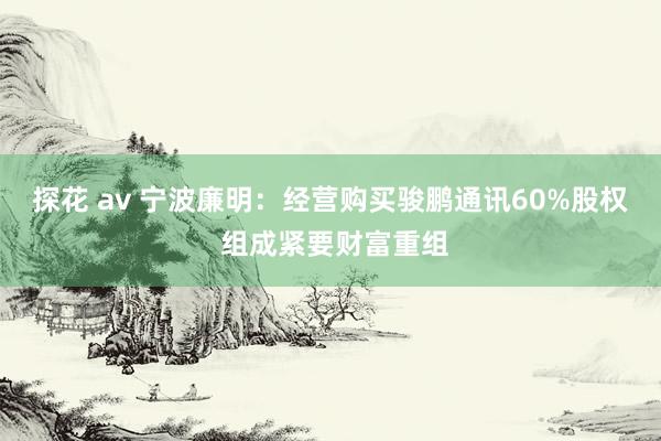 探花 av 宁波廉明：经营购买骏鹏通讯60%股权 组成紧要财富重组