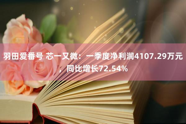 羽田爱番号 芯一又微：一季度净利润4107.29万元，同比增长72.54%