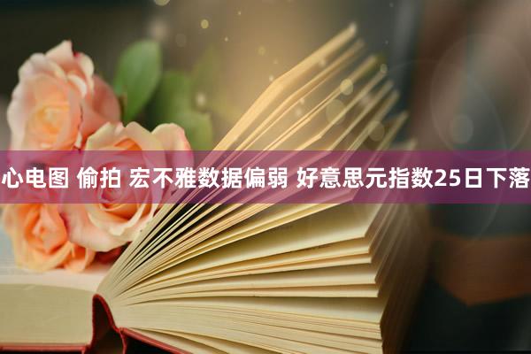 心电图 偷拍 宏不雅数据偏弱 好意思元指数25日下落