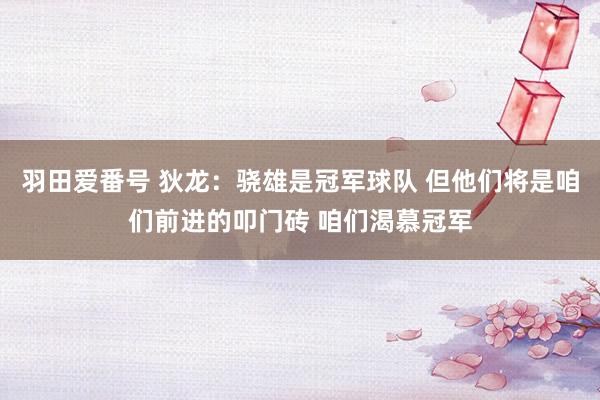 羽田爱番号 狄龙：骁雄是冠军球队 但他们将是咱们前进的叩门砖 咱们渴慕冠军