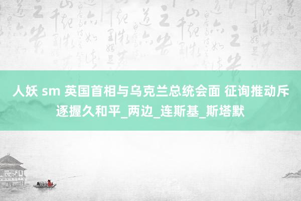 人妖 sm 英国首相与乌克兰总统会面 征询推动斥逐握久和平_两边_连斯基_斯塔默