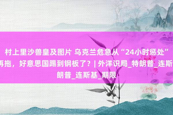 村上里沙兽皇及图片 乌克兰危急从“24小时惩处”变一拖再拖，好意思国踢到钢板了？| 外洋识局_特朗普_连斯基_期限