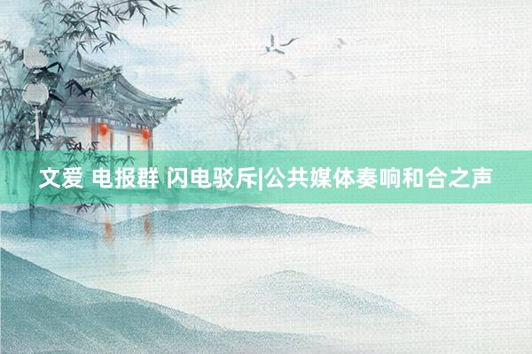 文爱 电报群 闪电驳斥|公共媒体奏响和合之声