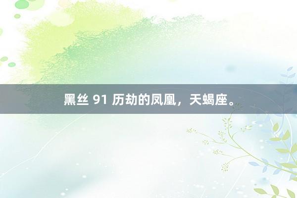 黑丝 91 历劫的凤凰，天蝎座。