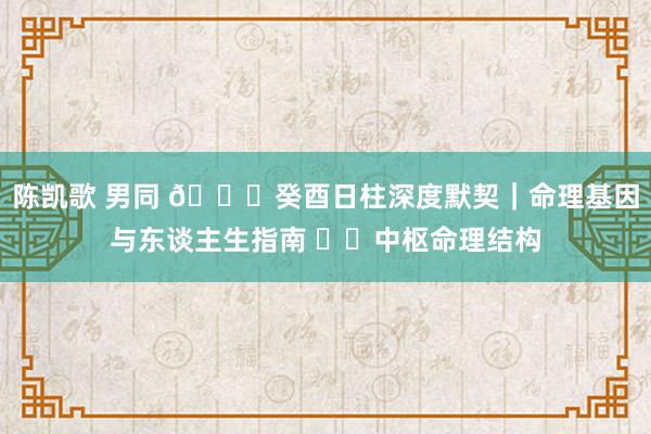 陈凯歌 男同 🔍癸酉日柱深度默契｜命理基因与东谈主生指南 ⚙️中枢命理结构